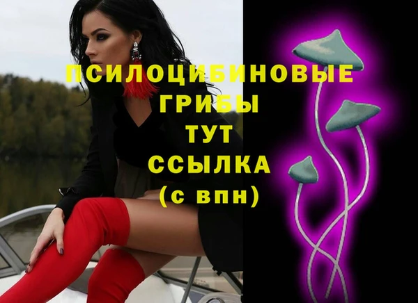 бошки Богданович