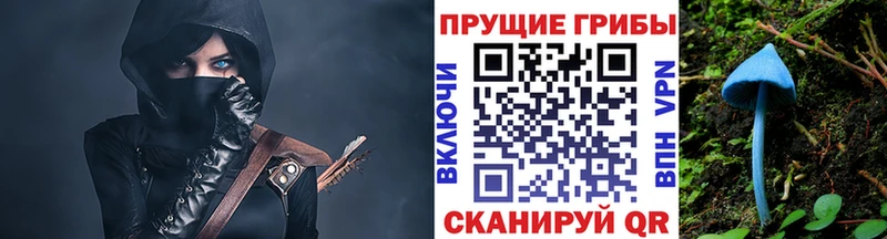 Галлюциногенные грибы Psilocybe  Михайлов 